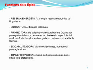 19FosfoglicèridsSón compostos amb una part polar (hidrofílica) i una altra hidròfoba, donant una estructura bipolar. Forma part de totes les membranes cel·lulars.Altresradicalspossiblessón:a) Fosfatidiletanolaminao cefalina    HO – CH2 – CH2 – NH2b) Fosfatidilserina   HO – CH2 – CH – COOHNH2