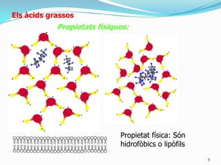 tenen una part polar (COO-) i la resta (- CH2 -) és hidrofòbica.4ElsàcidsgrassosN’hi ha dos tipus:Àcids grassos saturats: només tenen enllaços simples en la cadena hidrocarbonatada.   * Àcid Palmític C16H32O2: sòlid i blanc a temperatura ambient. D’origen animal.* Àcid Esteàric C18H36O2b) Àcids grassos insaturats: amb 1 o més dobles enllaços.* MONOINSATURATS: Àcid olèic: C18 amb doble entre 9-10: líquid a temperatura ambient. D’origen vegetal.* POLIINSATURATS: Àcid Linoleic(Pàg. 47)