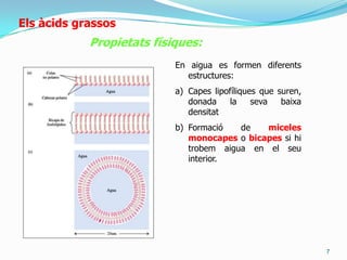 5ElsàcidsgrassosPropietatsquímiques:1. Esterificació: Reacciód’àcid gras amb un alcohol. Formaciód’unenllaç éster i un H2O2. Saponificació: Reacciód’unàcid gras amb una base forta (NaOH o KOH). Formacióde sabó.3. Autooxidació: pèrdua del doble enllaçd’unàcid gras insaturat en presènciad’oxigen.