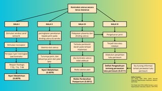 LP Intranatal mind map nweheu3hufb3ubdu3 | PDF