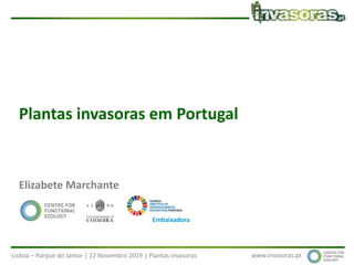 Lisboa – Parque do Jamor | 22 Novembro 2019 | Plantas invasoras www.invasoras.pt
Plantas invasoras em Portugal
Elizabete Marchante
Embaixadora
 