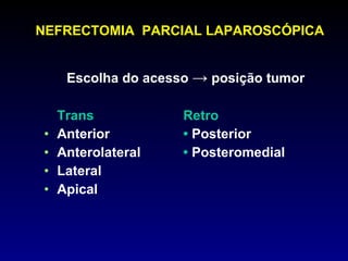 Escolha do acesso  ->  posição tumor Trans Retro Anterior •  Posterior Anterolateral •  Posteromedial Lateral Apical NEFRECTOMIA  PARCIAL LAPAROSCÓPICA 