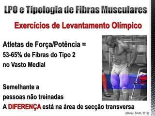Atletas de Força/Potência =
53-65% de Fibras do Tipo 2
no Vasto Medial


Semelhante a
pessoas não treinadas
A             está na área de secção transversa
                                           (Storey; Smith, 2012)
 