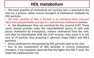 • The most quantity of cholesterol not used by cells is returned to the
liver via a process called reverse transport of cholesterol mediated by
HDL particles.
• The first particle of HDL is formed in an immature form (nascent
HDL) from phospholipids and apo A-I, and minimal cholesterol content.
• In the bloodstream they are enriched for the enzyme LCAT. These
small, discoid particles enter the subendothelial spaces of cells with
excess cholesterol by transcytosis, remove cholesterol from the cells,
and after its esterification with the LCAT enzyme, they move it to the
core of LP particle, thus acquiring a spherical shape (HDL2 and HDL3
particles)
• Excess cholesterol is transported by HDL particles back to the liver
• Due to the involvement of HDL particles in reverse cholesterol
transport, it has long been assumed that the higher the HDL-C level, the
lower the cardiovascular risk.
HDL metabolism
 