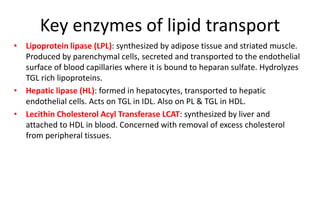 Key enzymes of lipid transport
• Lipoprotein lipase (LPL): synthesized by adipose tissue and striated muscle.
Produced by parenchymal cells, secreted and transported to the endothelial
surface of blood capillaries where it is bound to heparan sulfate. Hydrolyzes
TGL rich lipoproteins.
• Hepatic lipase (HL): formed in hepatocytes, transported to hepatic
endothelial cells. Acts on TGL in IDL. Also on PL & TGL in HDL.
• Lecithin Cholesterol Acyl Transferase LCAT: synthesized by liver and
attached to HDL in blood. Concerned with removal of excess cholesterol
from peripheral tissues.
 