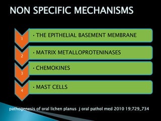 1
•THE EPITHELIAL BASEMENT MEMBRANE
2
•MATRIX METALLOPROTENINASES
3
•CHEMOKINES
4
•MAST CELLS
NON SPECIFIC MECHANISMS
pathogenesis of oral lichen planus j oral pathol med 2010 19;729_734
 
