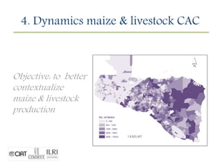 Contextualizing family agriculture in Nicaragua.