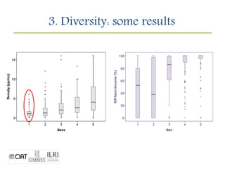 Contextualizing family agriculture in Nicaragua.