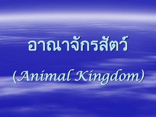 อาณาจักรสัตว์
(Animal Kingdom)
 