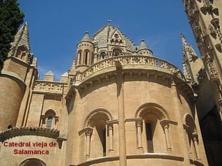 Catedral vieja de Salamanca 