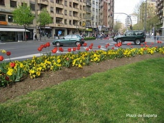Plaza de España 