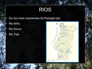 RIOS
●
Os rios mais importantes de Portugal são:
●
Rio Miño
●
Rio Douro
●
Rio Tejo
 