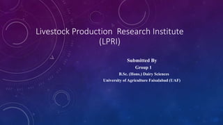 Livestock Production Research Institute
(LPRI)
Submitted By
Group 1
B.Sc. (Hons.) Dairy Sciences
University of Agriculture Faisalabad (UAF)
 