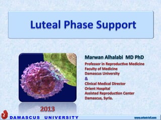 Luteal Phase Support