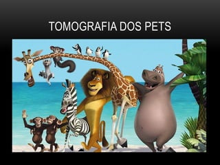 TOMOGRAFIA DOS PETS
 
