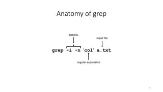 Anatomy of grep
grep -i -n 'col' a.txt
32
options
regular expression
input file
 