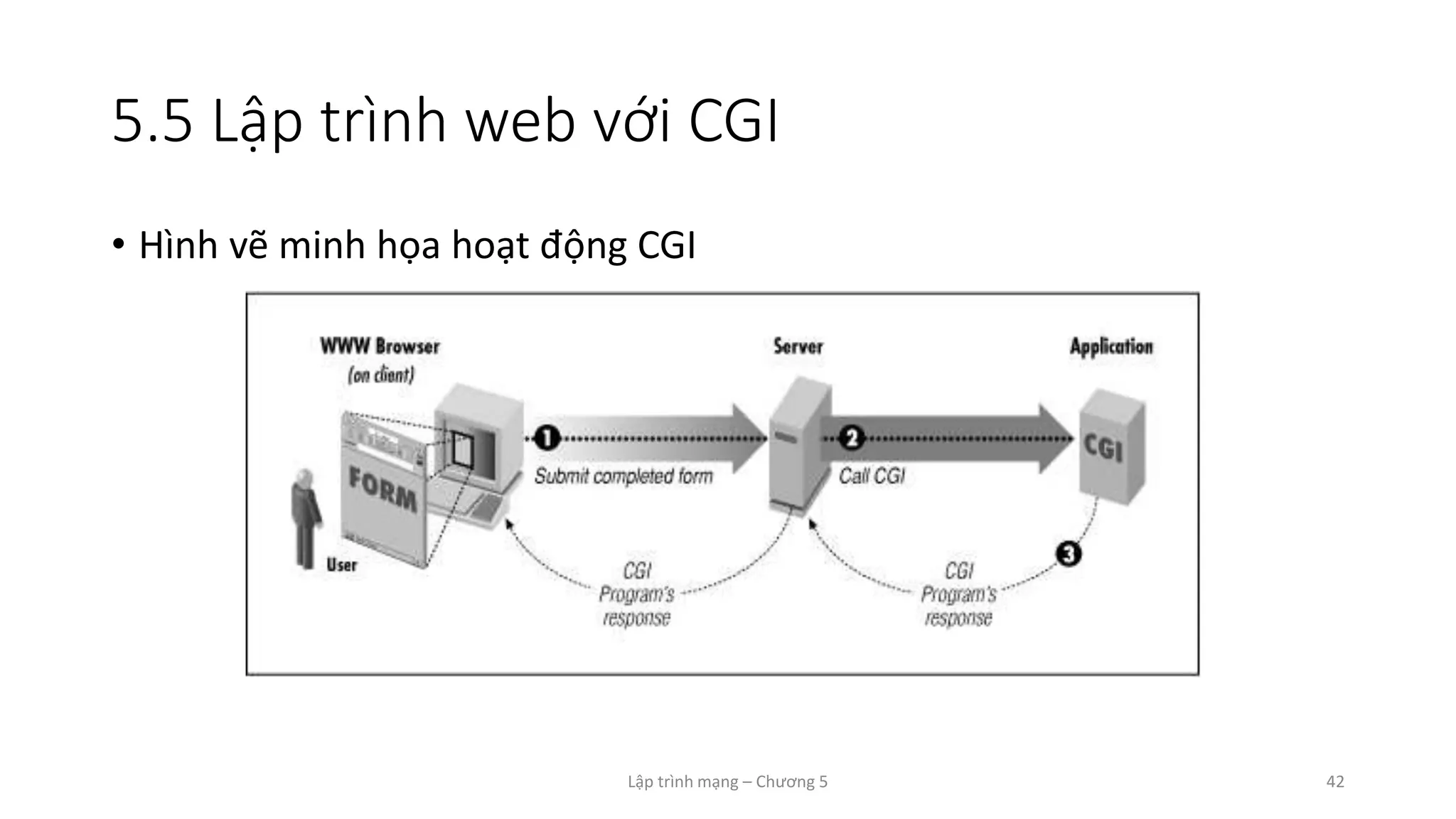 Lập trình mạng – Chương 5 42
5.5 Lập trình web với CGI
• Hình vẽ minh họa hoạt động CGI
 