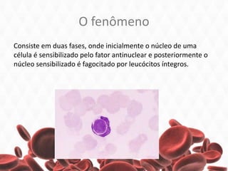 O fenômeno
Consiste em duas fases, onde inicialmente o núcleo de uma
célula é sensibilizado pelo fator antinuclear e posteriormente o
núcleo sensibilizado é fagocitado por leucócitos íntegros.
 