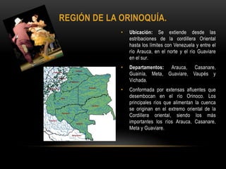 • Ubicación: Se extiende desde las
estribaciones de la cordillera Oriental
hasta los límites con Venezuela y entre el
río Arauca, en el norte y el río Guaviare
en el sur.
• Departamentos: Arauca, Casanare,
Guainía, Meta, Guaviare, Vaupés y
Vichada.
• Conformada por extensas afluentes que
desembocan en el río Orinoco. Los
principales ríos que alimentan la cuenca
se originan en el extremo oriental de la
Cordillera oriental, siendo los más
importantes los ríos Arauca, Casanare,
Meta y Guaviare.
REGIÓN DE LA ORINOQUÍA.
 