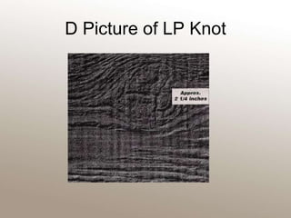 D Picture of LP Knot 