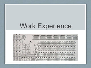 Work Experience 
 