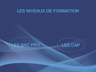 LES NIVEAUX DE FORMATION




LES BAC PRO        LES CAP
 