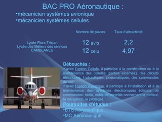 BAC PRO Aéronautique :
•mécanicien systèmes avionique
•mécanicien systèmes cellules

                                   Nombre de places         Taux d’attractivité

     Lycée Flora Tristan               12 avio                     2,2
Lycée des Métiers des services
        CAMBLANES                      12 celu                    4,97
                           Débouchés :
                           avec l’option Cellule, il participe à la construction ou à la
                           maintenance des cellules (parties externes), des circuits
                           électriques, hydrauliques, pneumatiques, des commandes
                           de vol.
                           avec l’option Avionique, il participe à l’installation et à la
                           maintenance des systèmes électroniques (circuits de
                           commandes, radio, outils de contrôle concernant le moteur,
                           la navigation, le pilotage).
                           Poursuites d'études :
                           •BTS Aéronautique,
                           •MC Aéronautique
 