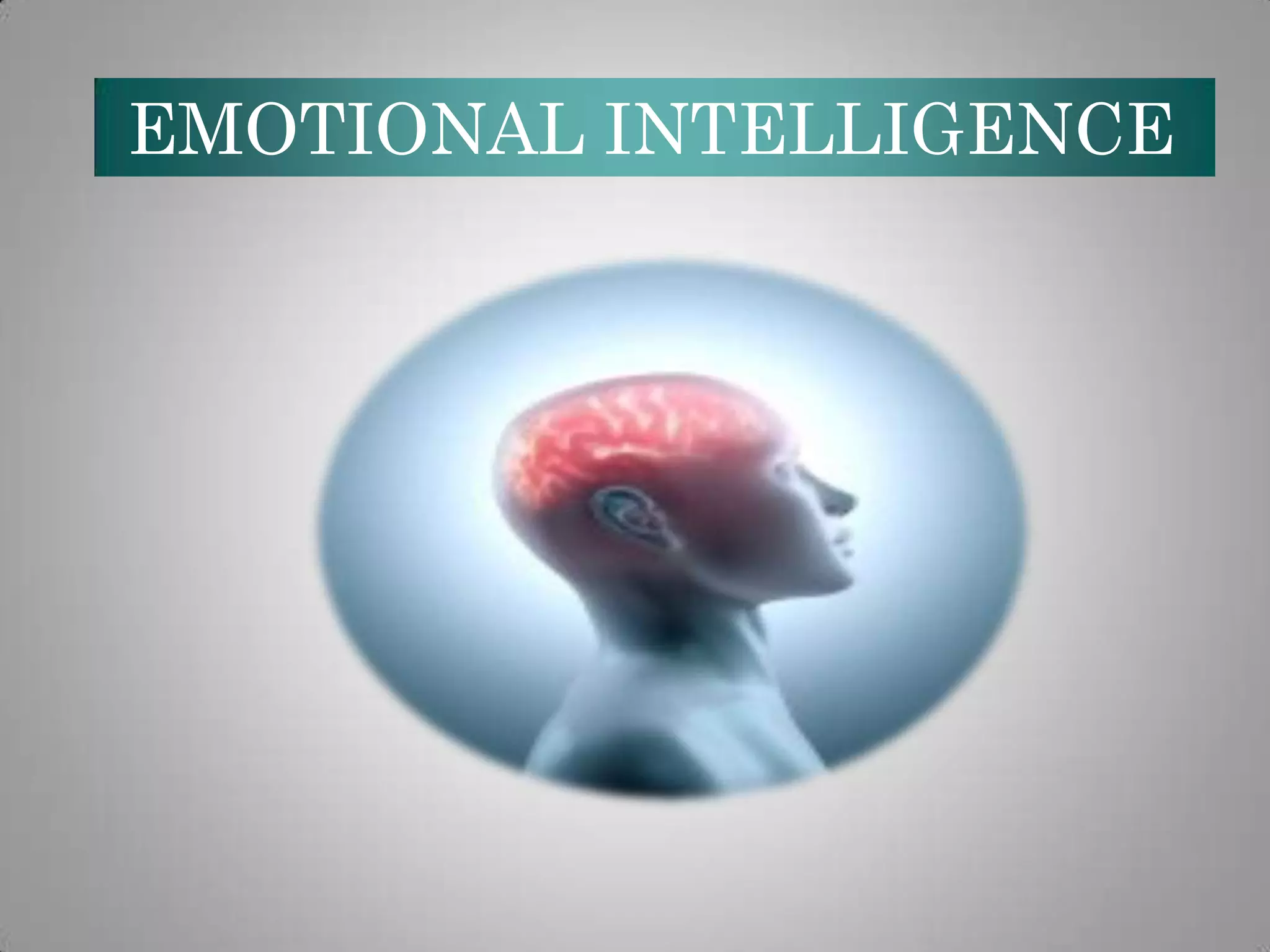 EMOTIONAL INTELLIGENCE

 