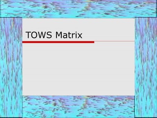 TOWS Matrix
 