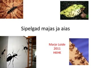 Sipelgad majas ja aias
Marje Loide
2011
HKHK
 