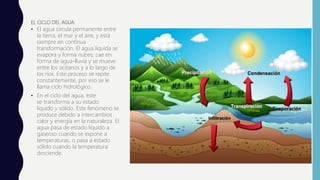 EL CICLO DEL AGUA.
• El agua circula permanente entre
la tierra, el mar y el aire, y está
siempre en continua
transformación. El agua líquida se
evapora y forma nubes, cae en
forma de agua-lluvia y se mueve
entre los océanos y a lo largo de
los ríos. Este proceso se repite
constantemente, por eso se le
llama ciclo hidrológico.
• En el ciclo del agua, este
se transforma a su estado
líquido y sólido. Este fenómeno se
produce debido a intercambios
calor y energía en la naturaleza. El
agua pasa de estado líquido a
gaseoso cuando se expone a
temperaturas, o pasa a estado
sólido cuando la temperatura
desciende.
 