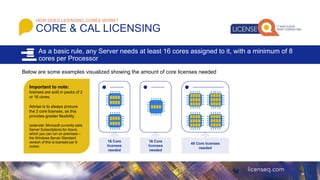 Licensing Processor Sample Microsoft Product Licensing Basics | PPTX