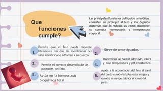 Que
funciones
cumple?
Permite que el feto pueda moverse
libremente sin que las membranas del
saco amniótico se adhieran a su cuerpo
Permite el correcto desarrollo de los
pulmones del feto.
Actúa en la homeostasis
bioquímica fetal.
1.
3.
5.
Sirve de amortiguador.
Proporciona un hábitat adecuado, estéril
y con temperatura y pH constantes.
Ayuda a la acomodación del feto al canal
del parto cuando la bolsa está íntegra y
,
cuando se rompe, lubrica el canal del
parto.
2.
4.
6.
Las principales funciones del líquido amniótico
consisten en proteger al feto y los órganos
maternos que lo rodean, así como mantener
su correcta homeostasis y temperatura
corporal.
 