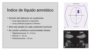Índice de líquido amniótico
• División del abdomen en cuadrantes
• Línea nigra (derecho e izquierdo)
• Linea umbilical (superior e inferior)
• Sitio más amplio en cada cuadrante (vertical)
• No cordón umbilical o extremidades fetales
• Oligohidroamnios 0 – 4.9 cm
• Normal 5 – 25 cm
• Polihidroamnios: > 25 cm
 