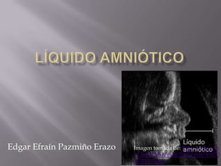 Edgar Efraín Pazmiño Erazo   Imagen tomada de: http://www.b
                             vs.hn/RMH/pdf/2002/pdf/Vol70
                             -4-2002-5.pdf
 