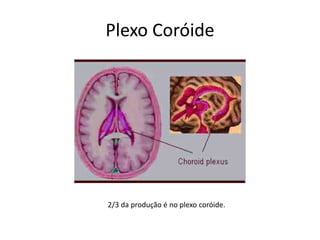 Plexo Coróide
2/3 da produção é no plexo coróide.
 