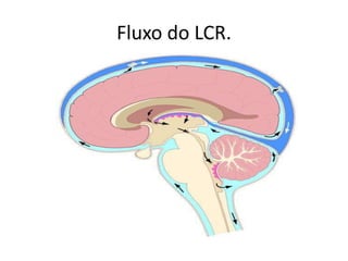 Fluxo do LCR.
 