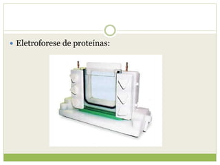  Eletroforese de proteínas:
 