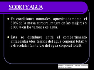SODIO Y AGUA En condiciones normales, aproximadamente, el 50% de la masa corporal magra en las mujeres y el 60% en los varones es agua. Ésta se distribuye entre el compartimento intracelular (dos tercios del agua corporal total) y extracelular (un tercio del agua corporal total).  