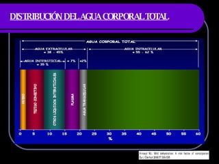 DISTRIBUCIÓN DEL AGUA CORPORAL TOTAL 