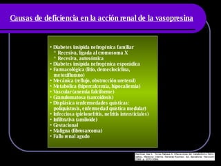 Causas de deficiencia en la acción renal de la vasopresina   Diabetes insípida nefrogénica familiar  * Recesiva, ligada al cromosoma X * Recesiva, autosómica Diabetes insípida nefrogénica esporádica  Farmacológica (litio, demeclociclina,  metoxiflurano) Mecánica (reflujo, obstrucción ureteral) Metabólica (hipercalcemia, hipocaliemia) Vascular (anemia falciforme) Granulomatosa (sarcoidosis) Displásica (enfermedades quísticas: poliquistosis, enfermedad quística medular) Infecciosa (pielonefritis, nefritis intersticiales) Infiltrativa (amiloide) Gestacional Maligna (fibrosarcoma) Fallo renal agudo 