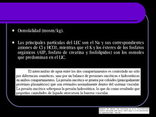 Osmolalidad (mosm/kg). Las principales partículas del LEC son el Na y sus correspondientes aniones de Cl y HCO3, mientras que el K y los ésteres de los fosfatos orgánicos (ATP, fosfato de creatina y fosfolípidos) son los osmoles que predominan en el LIC. 