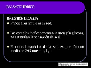 BALANCE HÍDRICO INGESTIÓN DE AGUA Principal estímulo es la sed. Los osmoles ineficacez como la urea y la glucosa, no estimulan la sensación de sed. El umbral osmótico de la sed es por término medio de 295 mosmol/kg. 