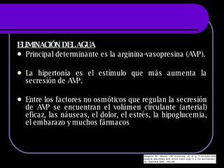 ELIMINACIÓN DEL AGUA Principal determinante es la arginina-vasopresina (AVP). La hipertonía es el estímulo que más aumenta la secresión de AVP. Entre los factores no osmóticos que regulan la secresión de AVP se encuentran el volúmen circulante (arterial) eficaz, las náuseas, el dolor, el estrés, la hipoglucemia, el embarazo y muchos fármacos 