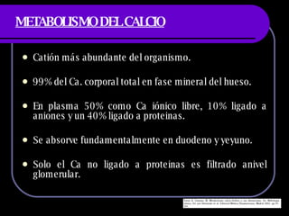METABOLISMO DEL CALCIO Cati ón más abundante del organismo. 99% del Ca. corporal total en fase mineral del hueso. En plasma 50% como Ca iónico libre, 10% ligado a aniones y un 40% ligado a proteinas. Se absorve fundamentalmente en duodeno y yeyuno. Solo el Ca no ligado a proteinas es filtrado anivel glomerular. 