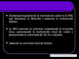 El principal regulador de la excresión de calcio es la PTH, que disminuye la filtración y aumenta la reabsorción tubular. La HPT aumenta la calcemia estimulando la resorciòn òsea, aumentando la reabsorciòn renal de calcio y promoviendo la conversiòn de Vit. D a calcitriol. Aumenta la excresiòn renal de fosfato . 