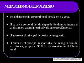 METABOLISMO DEL MAGNESIO 1% del magnesio corporal total circula en plasma. El balance corporal de Mg depende fundamntalmente d la absorción gastrointestinal y de su excresión renal. El hueso es el principal depósito de magnesio. El riñón es el principal responsable de la regulación de sus niveles, ya que el 95% es reabsorvido en el túbulo renal. 