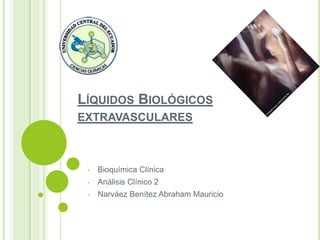 LÍQUIDOS BIOLÓGICOS
EXTRAVASCULARES
• Bioquímica Clínica
• Análisis Clínico 2
• Narváez Benítez Abraham Mauricio
 