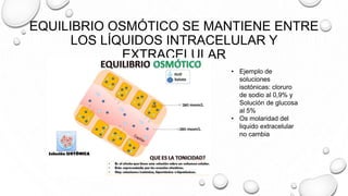 EQUILIBRIO OSMÓTICO SE MANTIENE ENTRE
LOS LÍQUIDOS INTRACELULAR Y
EXTRACELULAR
• Ejemplo de
soluciones
isotónicas: cloruro
de sodio al 0,9% y
Solución de glucosa
al 5%
• Os molaridad del
liquido extracelular
no cambia
 