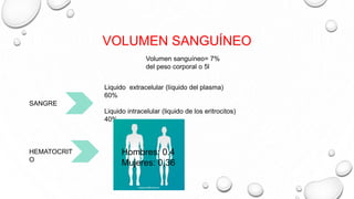 VOLUMEN SANGUÍNEO
Liquido extracelular (líquido del plasma)
60%
Liquido intracelular (liquido de los eritrocitos)
40%
SANGRE
Volumen sanguíneo= 7%
del peso corporal o 5l
HEMATOCRIT
O
Hombres: 0.4
Mujeres: 0,36
 